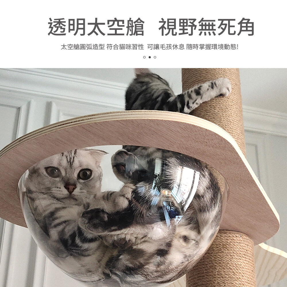 icat 寵喵樂 通天柱 【免運】特高特大台貓跳台 懸掛式觀景貓跳台 貓抓板 貓跳台『WANG』-圖片-7