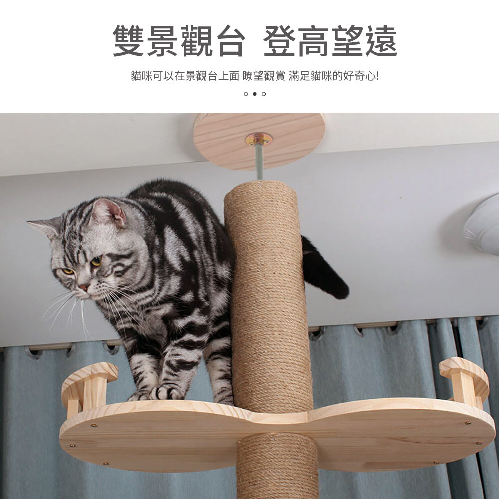 icat 寵喵樂 通天柱 【免運】特高特大台貓跳台 懸掛式觀景貓跳台 貓抓板 貓跳台『WANG』-圖片-8