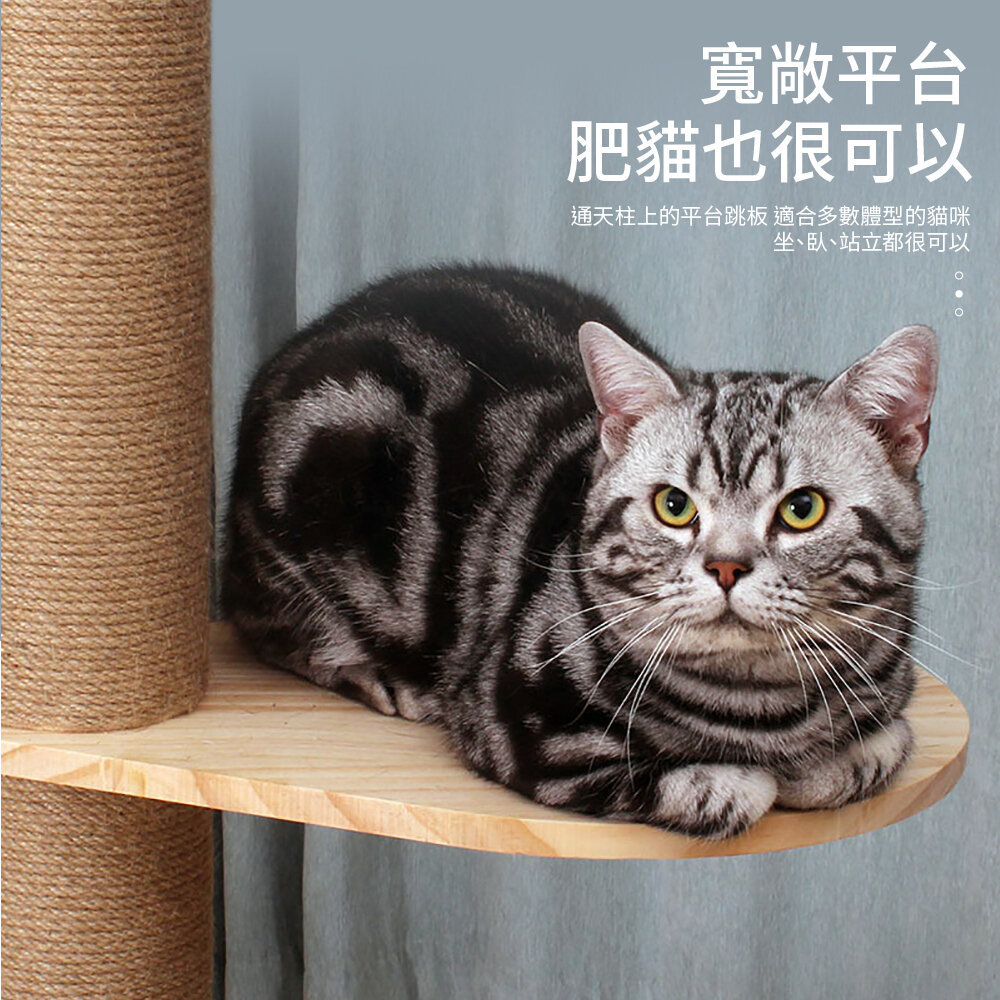 icat 寵喵樂 通天柱 【免運】特高特大台貓跳台 懸掛式觀景貓跳台 貓抓板 貓跳台『WANG』-圖片-9