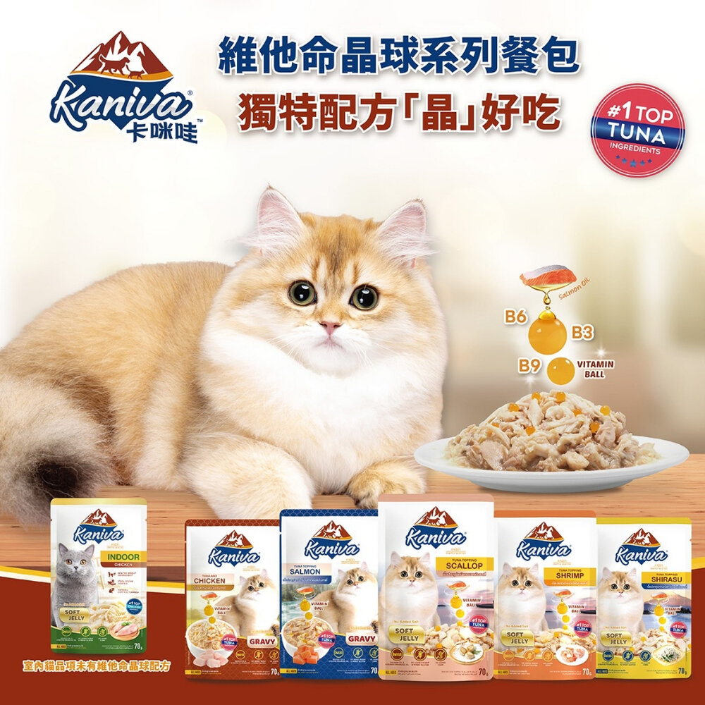 Kaniva 卡咪哇 維他命晶球餐包系列 70g 凍狀餐包 肉汁餐包 貓咪 鮪魚 雞肉 貓副食 濕糧 餐包『WANG』-圖片-4
