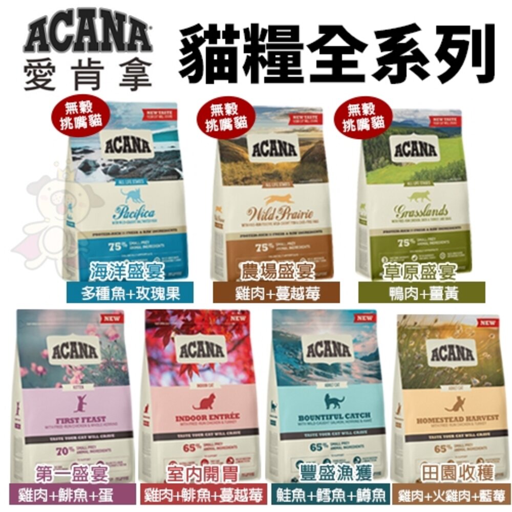 加拿大 ACANA 愛肯拿 4.5KG 挑嘴貓 無穀 低穀 雞肉 多種魚 鴨肉 貓糧『WANG』-圖片-3