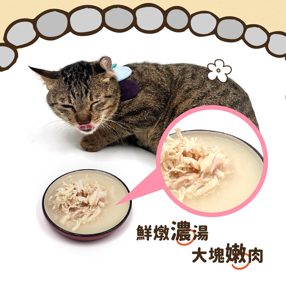 T.N.A.悠遊 厚肉肉有料湯肉貓罐【24罐組】 80g 湯罐 鮮肉罐 補水罐 貓罐頭『WANG』-圖片-4