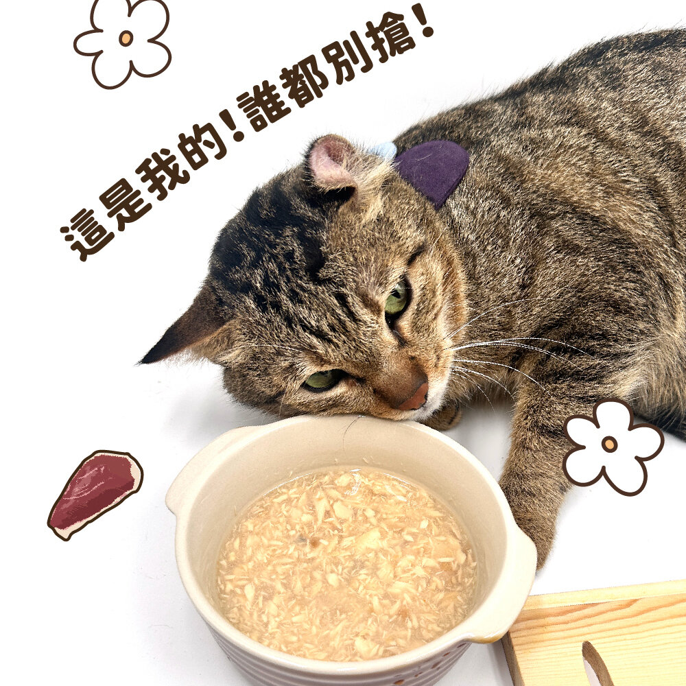 T.N.A.悠遊 厚肉肉有料湯肉貓罐 海陸精華主食罐【24罐組】80g 厚肉肉 湯罐 鮮肉罐 主食罐 貓罐頭『WANG』-圖片-6