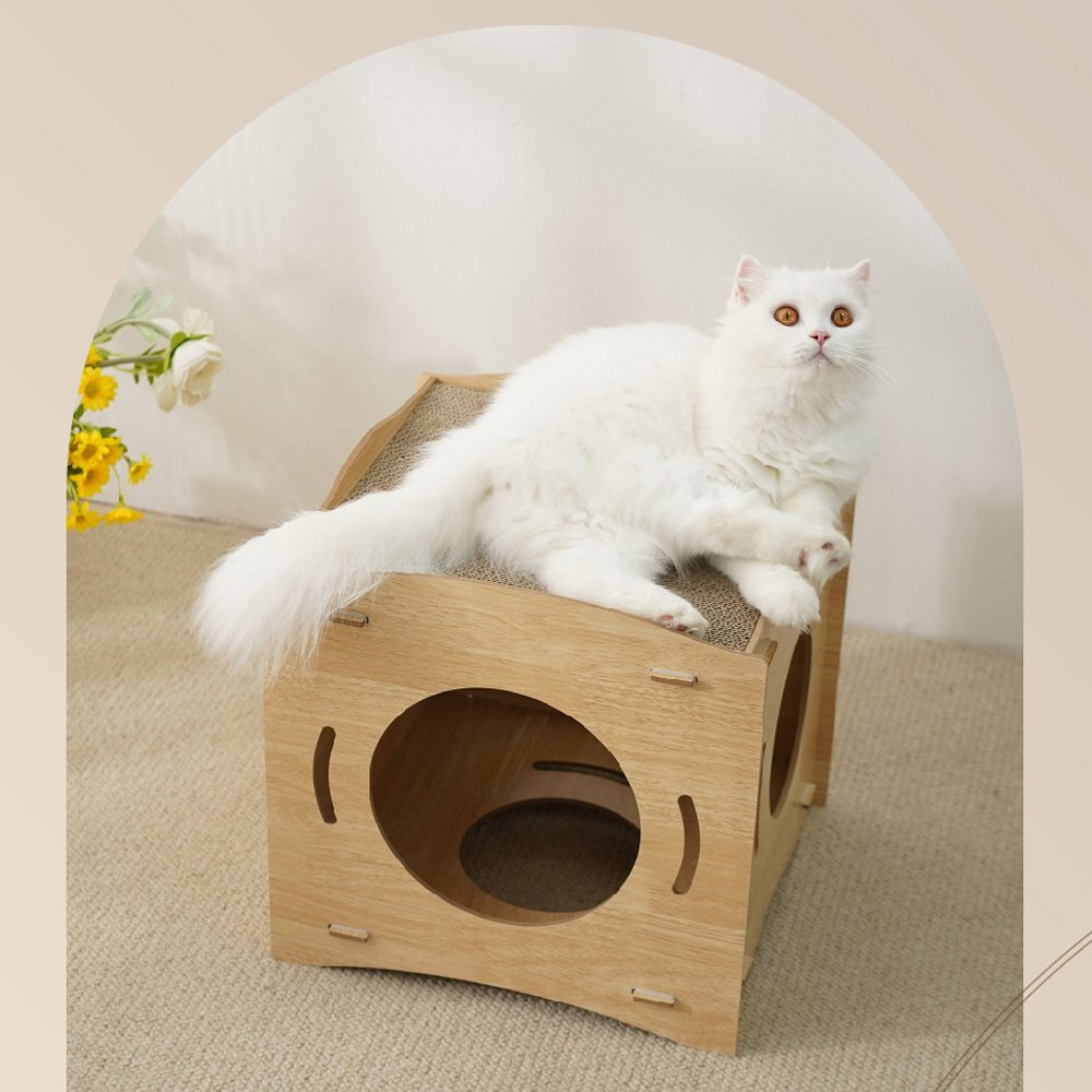 喵仙兒 造型貓抓板 劍麻貓抓盆 沙灘椅 電視機 泡麵 酪梨 大富翁三腳 三眼怪 貓抓板『WANG』-圖片-2