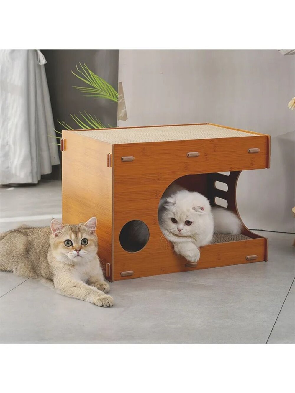 喵仙兒 造型貓抓板 劍麻貓抓盆 沙灘椅 電視機 泡麵 酪梨 大富翁三腳 三眼怪 貓抓板『WANG』-圖片-3