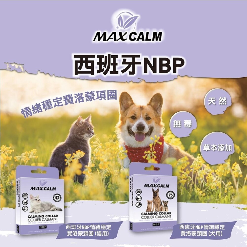 西班牙 NBP 情緒穩定費洛蒙頸圈 天然精滴劑 苦楝精油 香茅精油 犬用 貓用 天然成分 寵物頸圈『WANG』-圖片-2