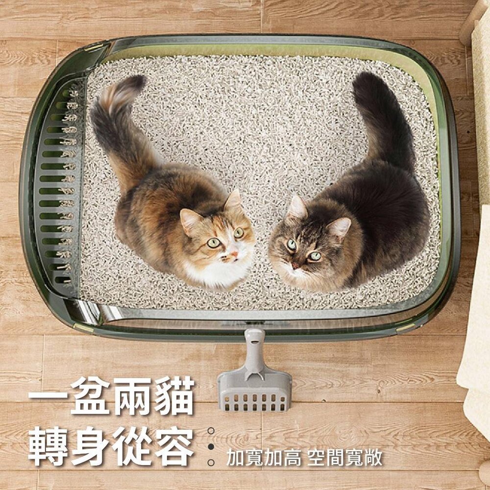 iCat 寵喵樂 超大號加厚高圍牆貓砂盆【台灣極速出貨】大空間貓廁所 加高加厚 半罩式 貓砂盆『WANG』-圖片-4