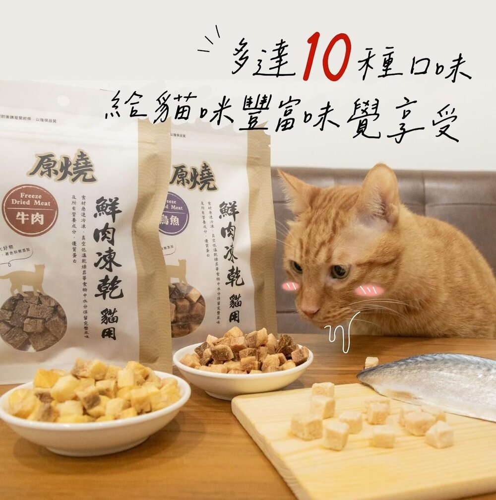 原燒 鮮肉凍乾 30g 雞肉 白帶魚 牛肉 烏魚 鯛魚 鮪魚 鴨肉 火雞肉 貓凍乾 貓零食『WANG』-圖片-4