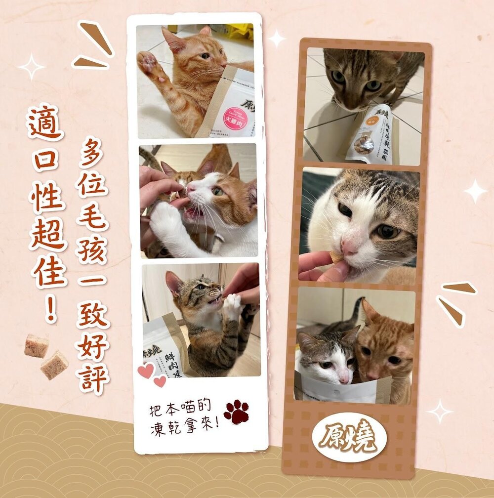 原燒 鮮肉凍乾 30g 雞肉 白帶魚 牛肉 烏魚 鯛魚 鮪魚 鴨肉 火雞肉 貓凍乾 貓零食『WANG』-圖片-6