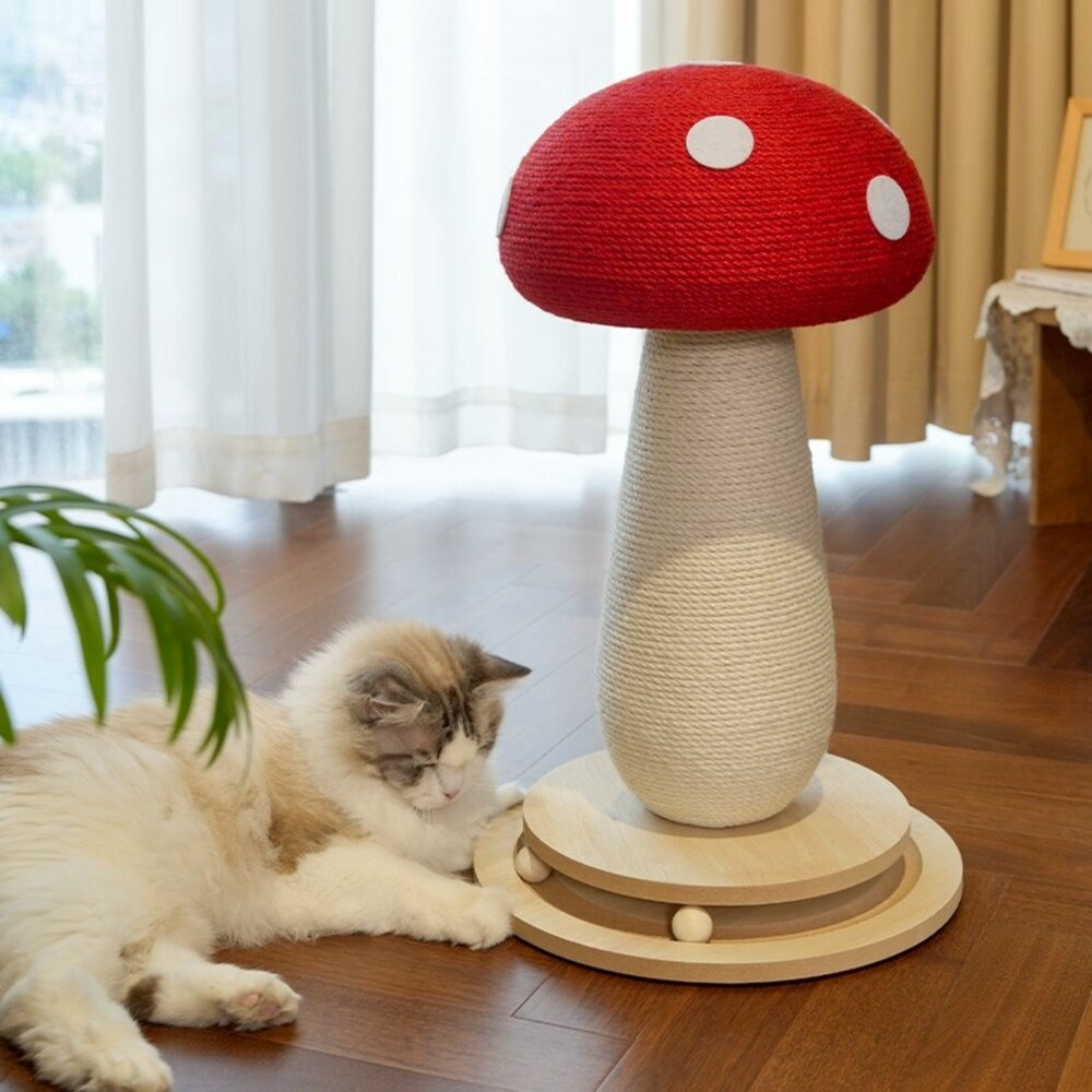 喵仙兒 造型貓抓板 仙人掌 木劍麻貓抓柱 雙層貓抓屋 貓抓窩 行軍床 沙發 睡床 貓抓板『WANG』-圖片-6