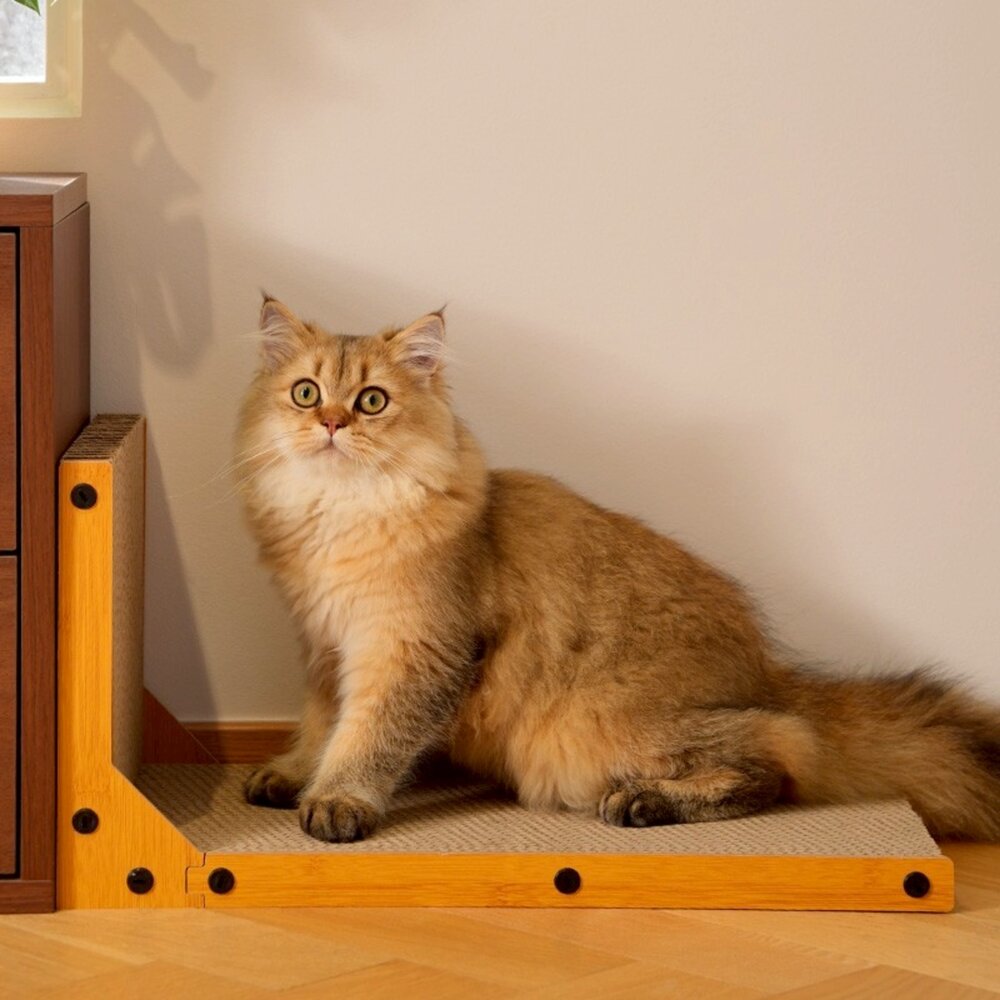 喵仙兒 造型貓抓板 仙人掌 木劍麻貓抓柱 雙層貓抓屋 貓抓窩 行軍床 沙發 睡床 貓抓板『WANG』-圖片-7