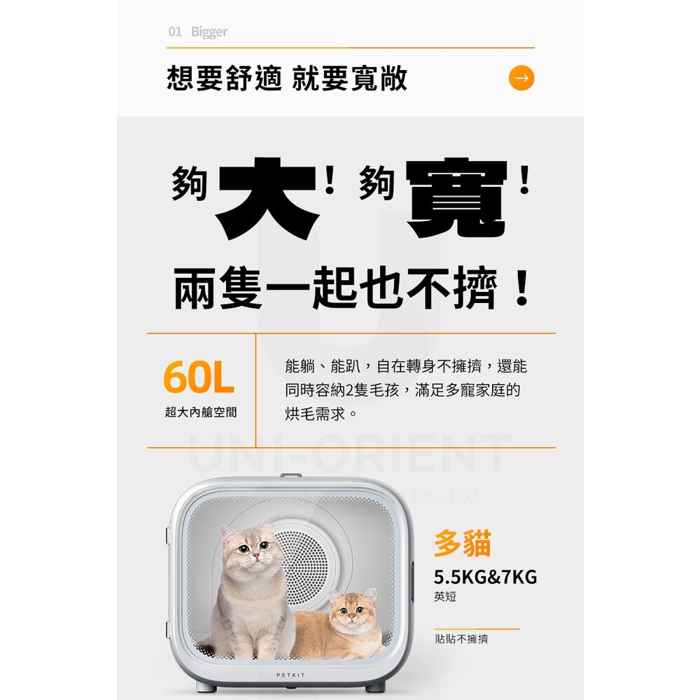 PETKIT 佩奇 頭等艙智能寵物烘毛箱 烘毛箱 舒適大空間 三面透氣窗 毛孩烘毛不悶熱『WANG』-圖片-3