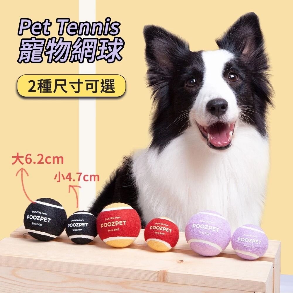 POOZPET 寵物網球 狗玩具 發聲網球 寵物磨牙/耐咬/大型犬 /互動玩具『WANG』-圖片-2