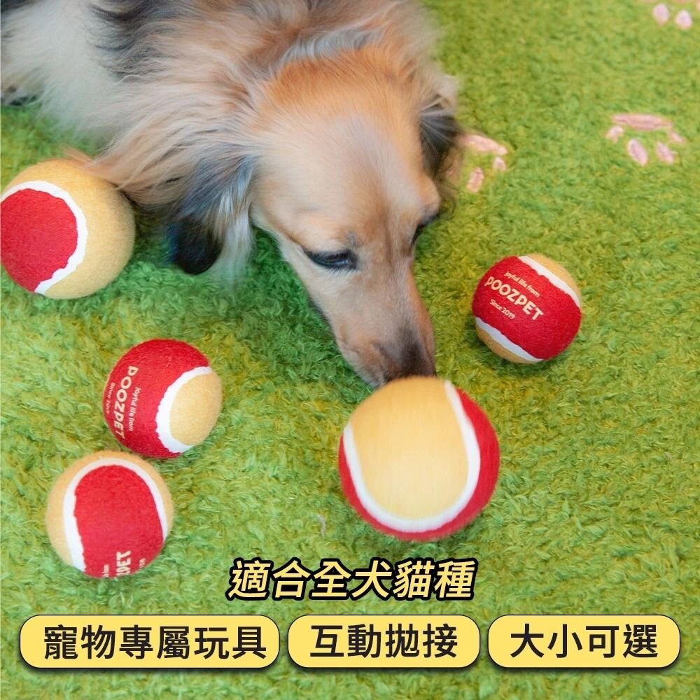 POOZPET 寵物網球 狗玩具 發聲網球 寵物磨牙/耐咬/大型犬 /互動玩具『WANG』-圖片-4