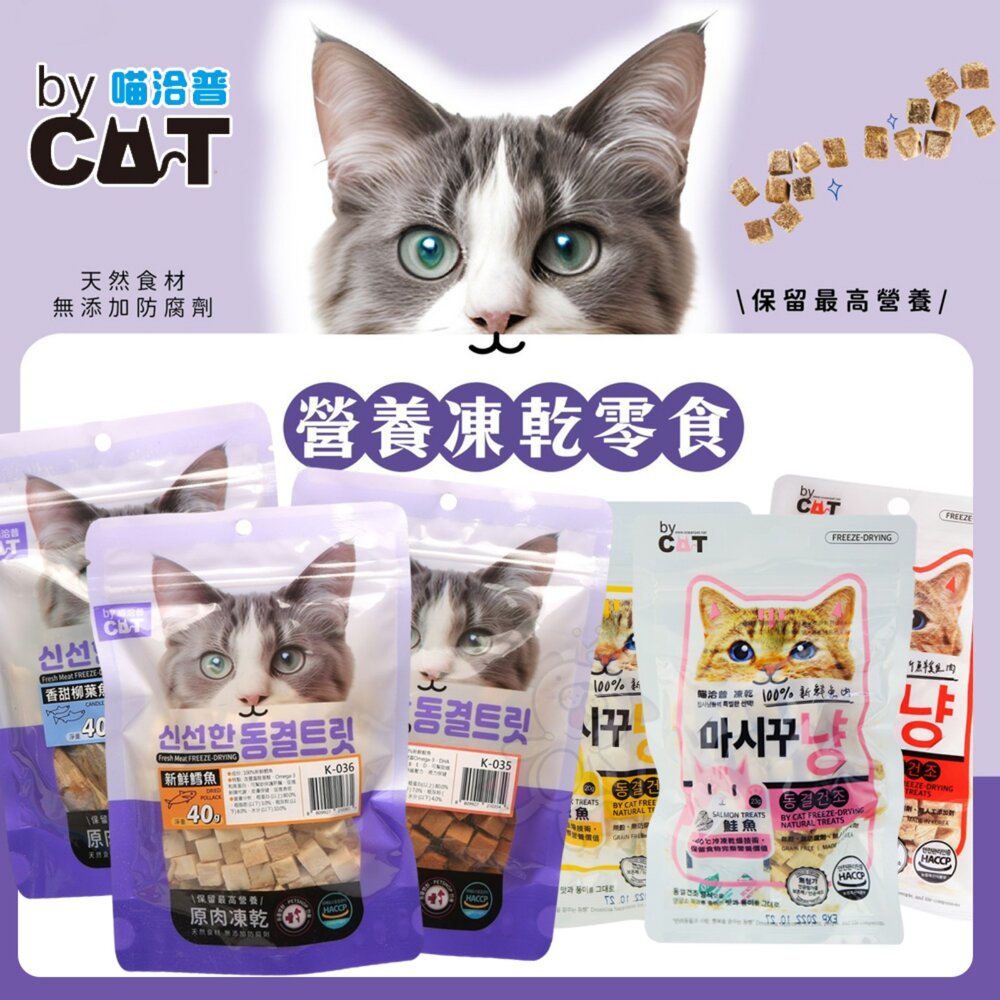 241118132011-喵洽普 By Cat 貓咪凍乾零食 罐裝 袋裝 貓凍乾 寵物凍乾 寵物零食 貓零食『WANG』