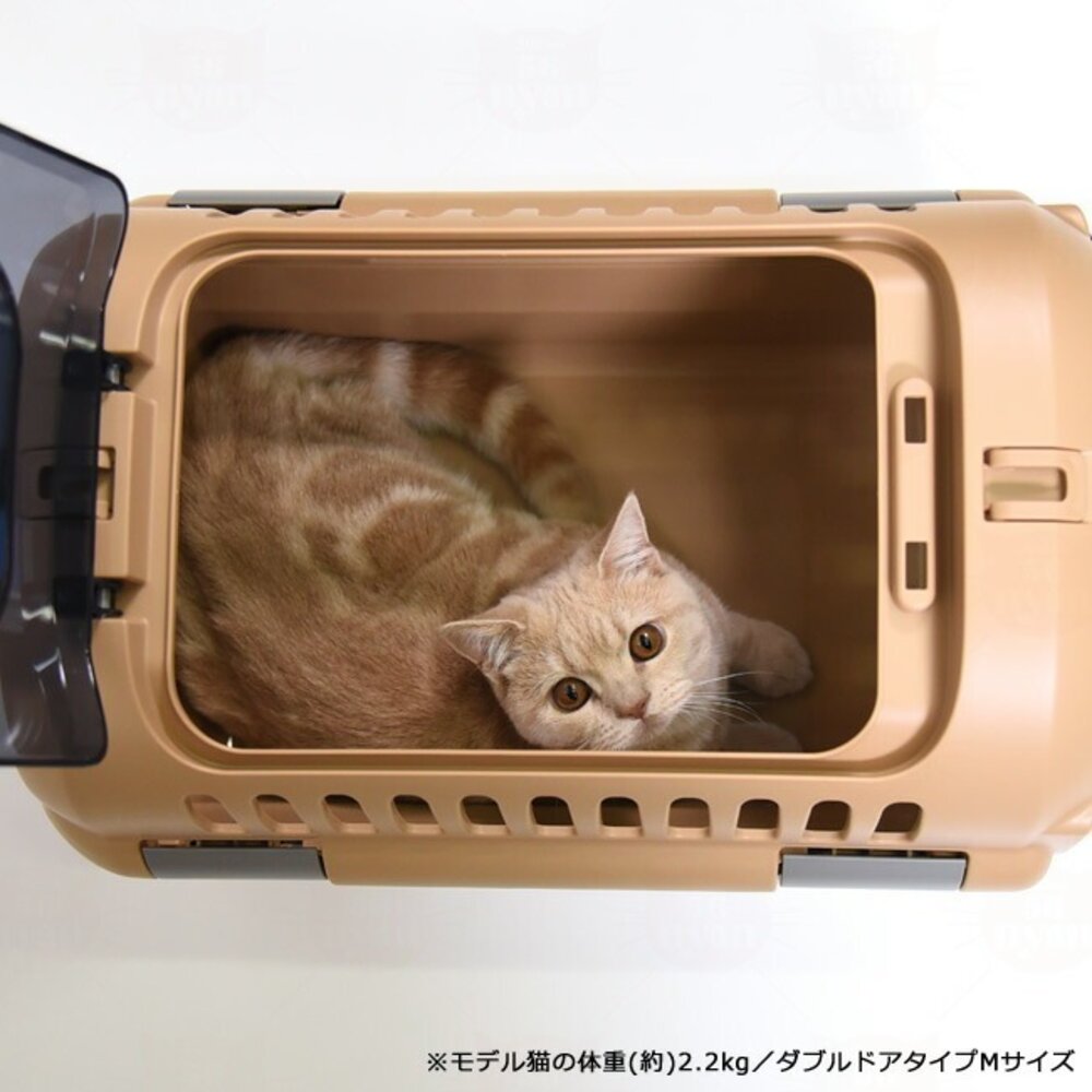 RICHELL 利其爾 Fine 上掀外出提籠 寵物運輸籠 運輸提籠 提籃 寵物提籃『WANG』-圖片-2