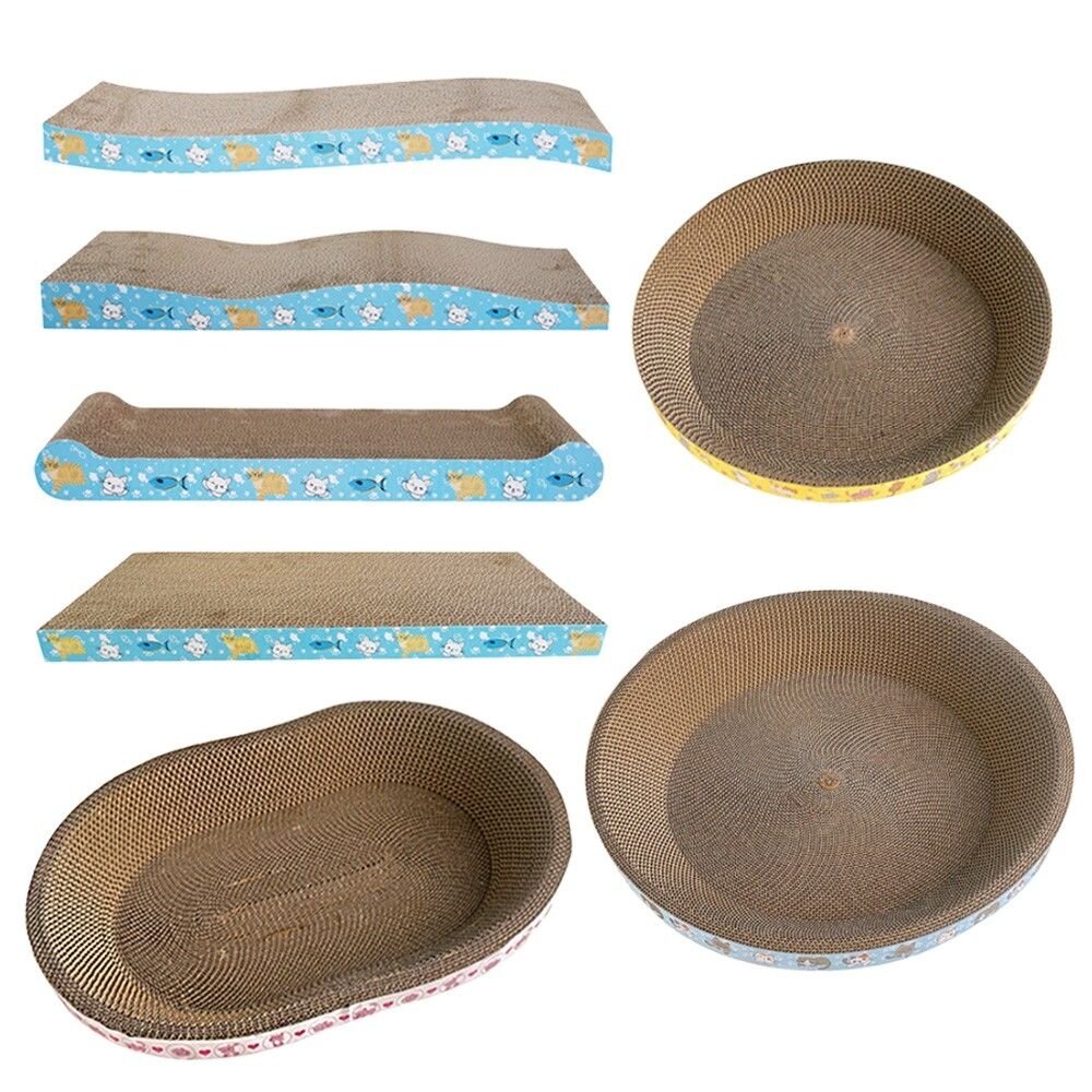 icat 寵喵樂 貓抓板 幾何圖 彩虹世界 S型 拱型 波浪型 拱型骨型 長方型平面 兔子愛紅蘿蔔『WANG』-圖片-1