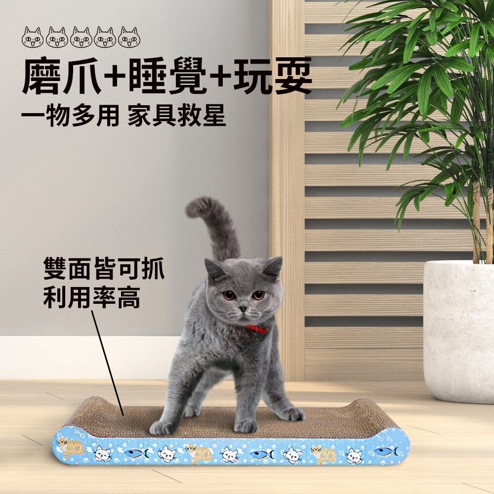 icat 寵喵樂 貓抓板 幾何圖 彩虹世界 S型 拱型 波浪型 拱型骨型 長方型平面 兔子愛紅蘿蔔『WANG』-圖片-3