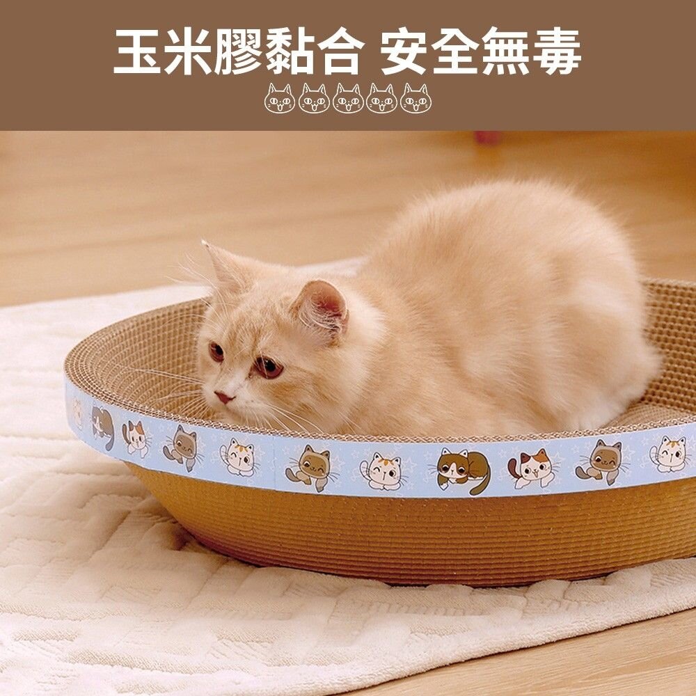 icat 寵喵樂 貓抓板 幾何圖 彩虹世界 S型 拱型 波浪型 拱型骨型 長方型平面 兔子愛紅蘿蔔『WANG』-圖片-5