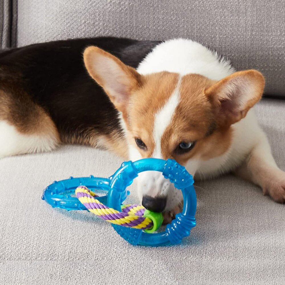 美國 Petstages 耐咬 狗玩具 綠咖咖果凍骨 歐卡骨頭 健齒連接環 飛盤 六角椎 方塊網球 發聲玩具『WANG』-圖片-10