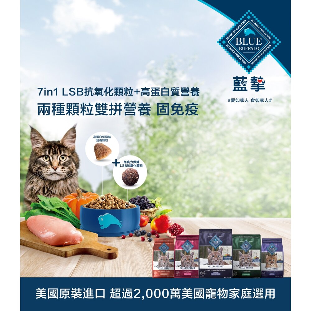 美國 Blue Buffalo 藍摯 天然貓糧 2磅-11磅 高蛋白 低脂 貓乾糧 貓主食 貓飼料『WANG』-圖片-3