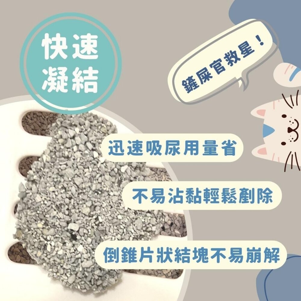 EVER DREAM 韓國藍貓 凝結貓砂 9KG 原礦膨潤土 低粉塵 添加活性碳 原箱 貓砂『WANG』-圖片-5