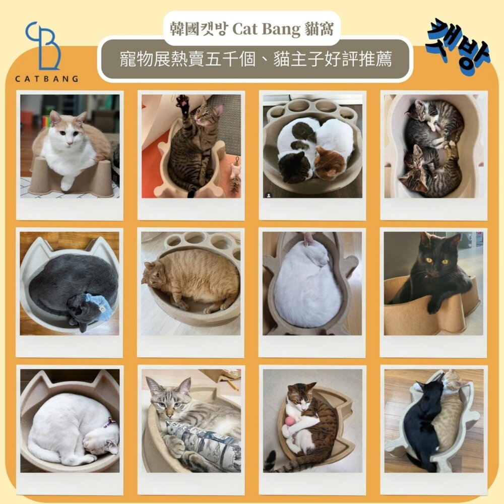 韓國 CATBANG 環保舒適貓窩 舒適貓籃 貓咪紙袋 貓抓板 貓窩 貓睡床『WANG』-圖片-9