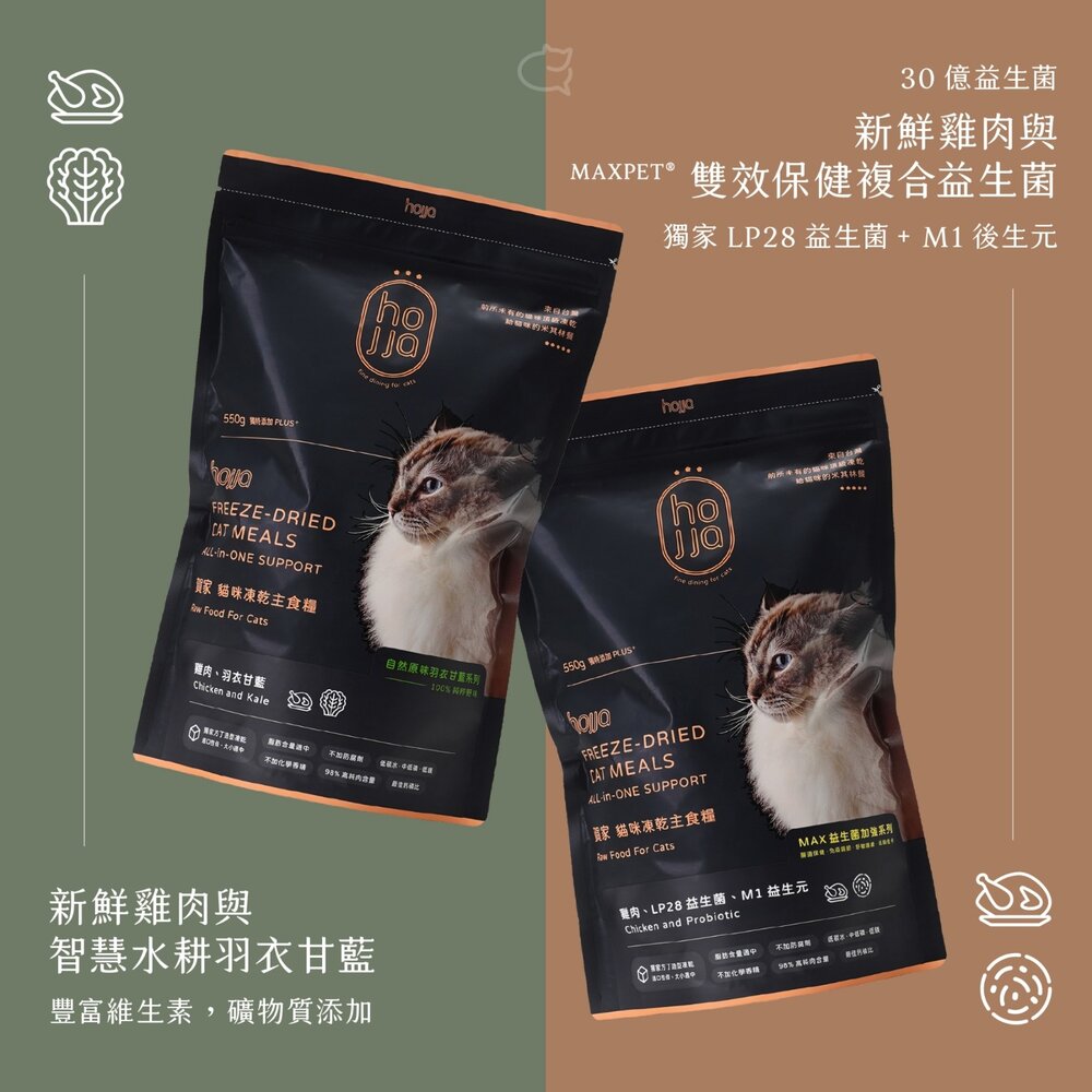 Hojja 賀家 貓咪主食凍乾糧 550g 羽衣甘藍|益生菌系列 雞肉主食糧 貓乾糧 貓主食 貓飼料『WANG』-圖片-7