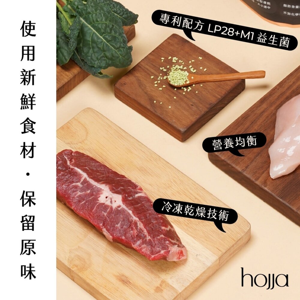 Hojja 賀家 犬貓凍乾零食 羽衣甘藍系列|益生菌系列 柳葉魚 鱈魚 牛肉 雞肉 貓凍乾 狗凍乾 寵物凍乾『WANG』-圖片-4