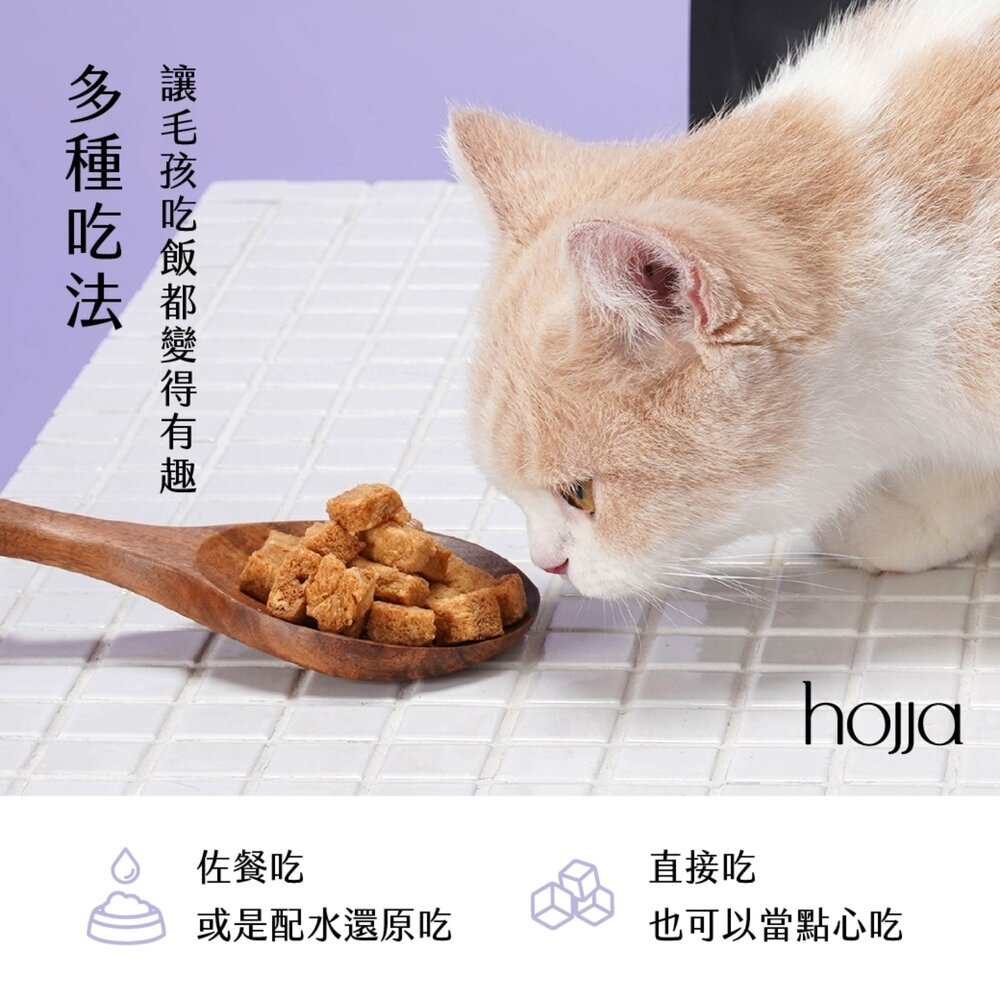 Hojja 賀家 犬貓零食 干貝凍乾 雞肉凍乾 貓凍乾 狗凍乾 寵物零食 凍乾零食 寵物凍乾 狗零食 貓零食『WANG』-圖片-6