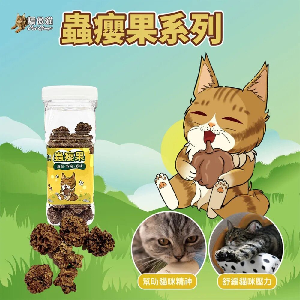 Cat Glory 驕傲貓 貓薄荷/蟲癭果裹木天蓼枝 粗/細木天蓼枝 極細貓薄荷葉 貓薄荷 貓草 貓零食『WANG』-圖片-4