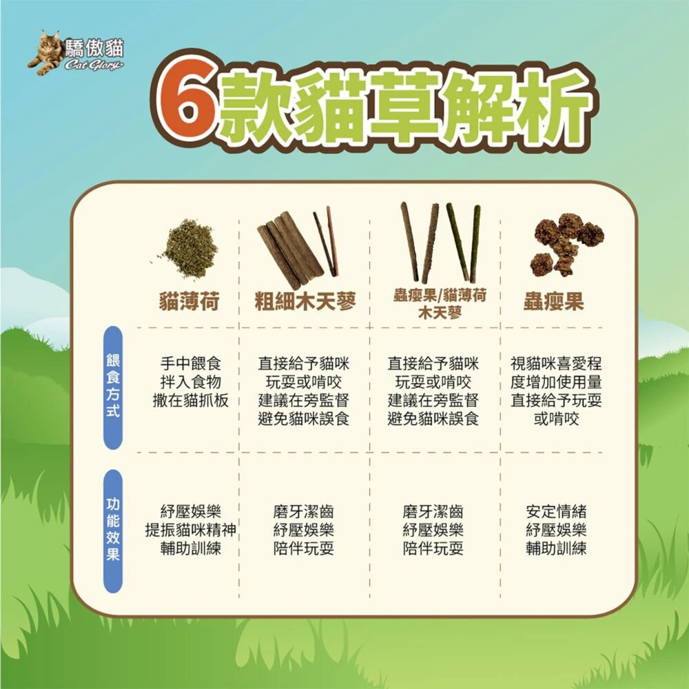 Cat Glory 驕傲貓 貓薄荷/蟲癭果裹木天蓼枝 粗/細木天蓼枝 極細貓薄荷葉 貓薄荷 貓草 貓零食『WANG』-圖片-6