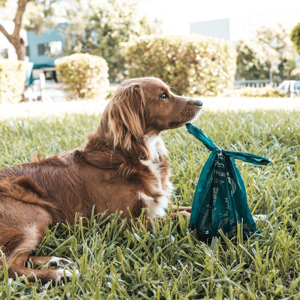 LOGIN 洛格 環保分離器組合 生物降解拾便袋 可推肥降解拾便袋 撿便袋 撿便器 可推肥拾便袋『WANG』-圖片-3