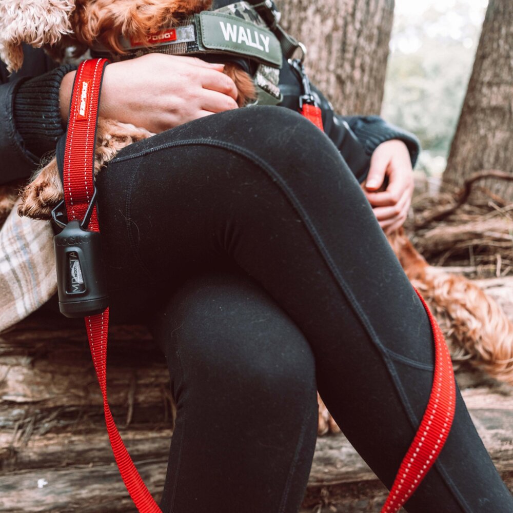 LOGIN 洛格 環保分離器組合 生物降解拾便袋 可推肥降解拾便袋 撿便袋 撿便器 可推肥拾便袋『WANG』-圖片-6