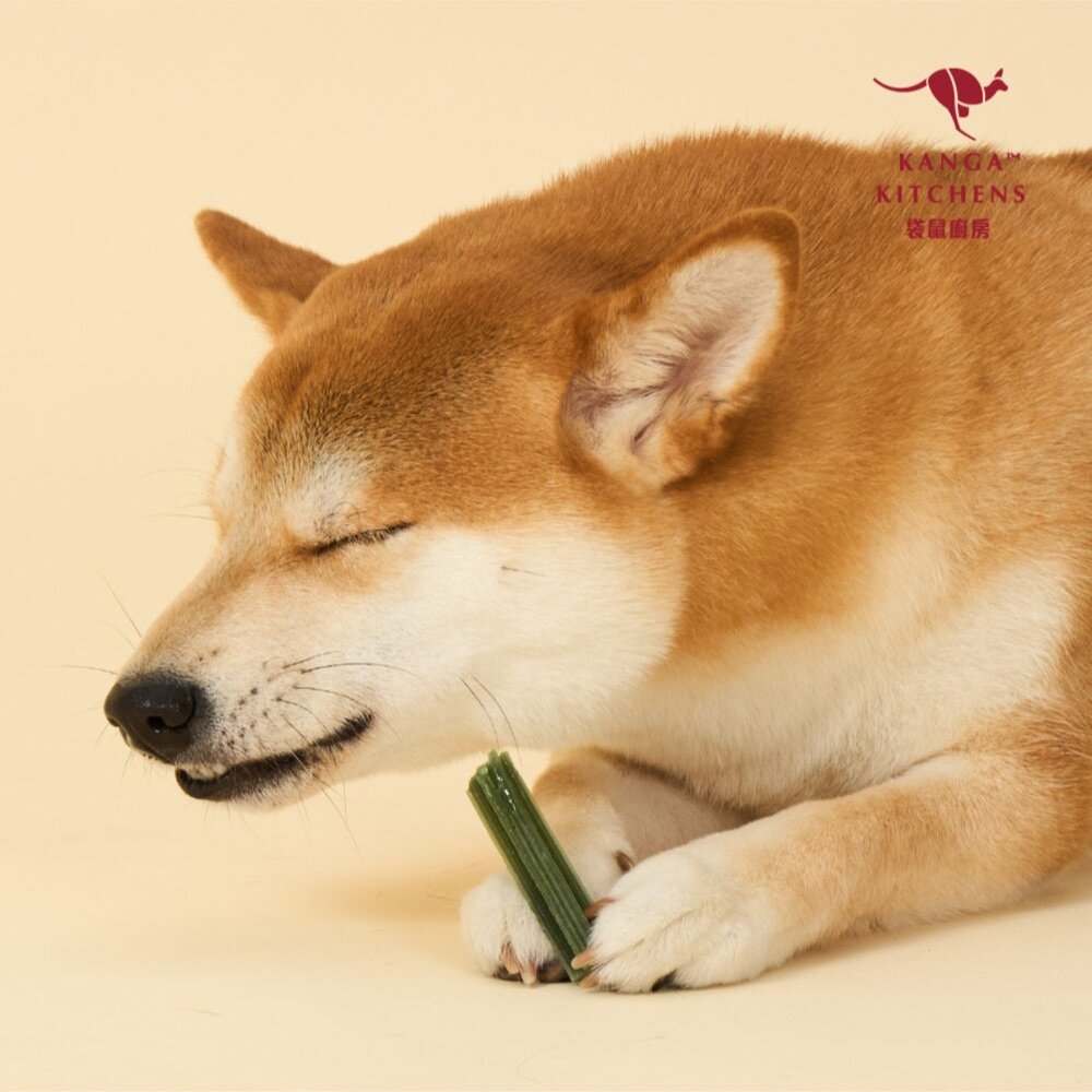 澳洲Kanga Kitchens 袋鼠廚房 三效袋鼠潔牙棒330g 罐裝 口齒清新 維持免疫力 關節養護 狗零食『WAN-圖片-3