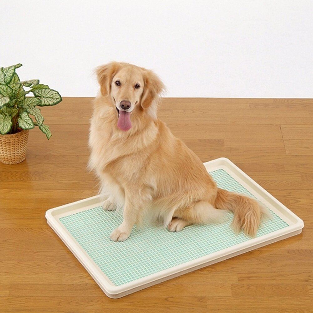 日本 Bonbi 犬用網狀便盆|薄型平貼便盆 網狀一般款 六角 蜂巢型 防咬 狗尿盆 狗便盆-圖片-2