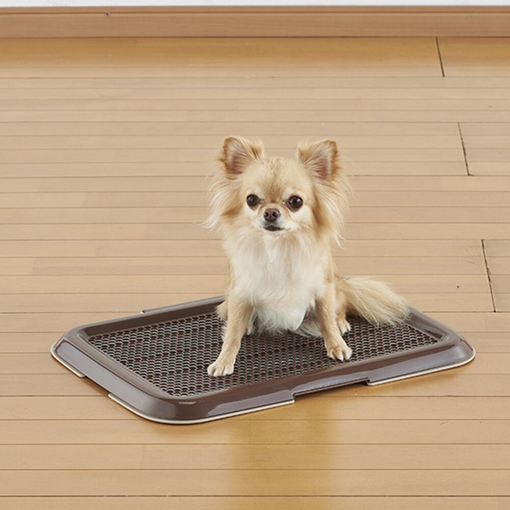 日本 Bonbi 犬用網狀便盆|薄型平貼便盆 網狀一般款 六角 蜂巢型 防咬 狗尿盆 狗便盆-圖片-3