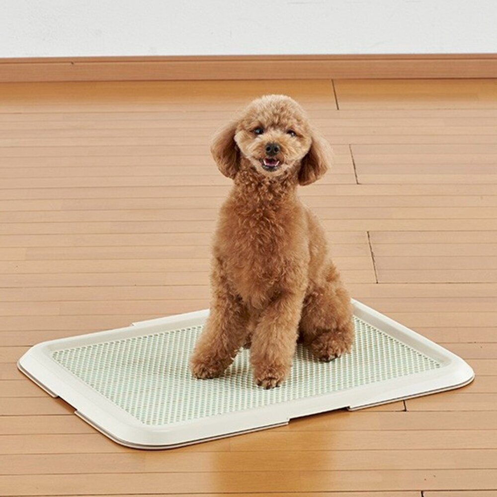 日本 Bonbi 犬用網狀便盆|薄型平貼便盆 網狀一般款 六角 蜂巢型 防咬 狗尿盆 狗便盆-圖片-4