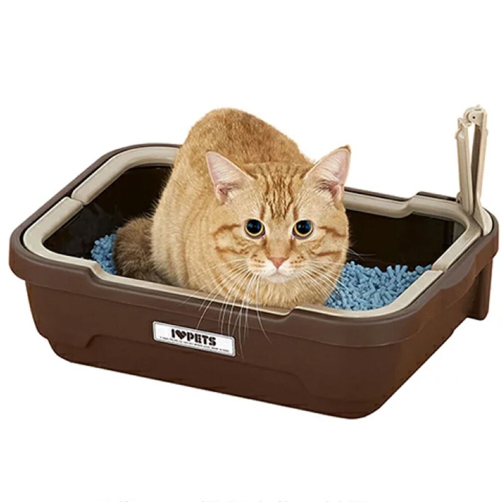 日本 Bonbi 樂樂雙層防護貓便盆 提籃式提籃式貓砂盆 貓廁所 貓便盆 貓砂盆『WANG』-圖片-4