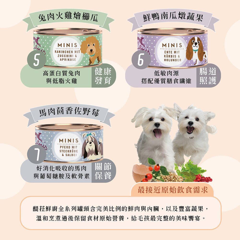 德國 TERRA CANIS 醍菈鮮廚 小型挑嘴犬無榖主食犬罐 100g 主食罐 狗罐頭『WANG』-圖片-5