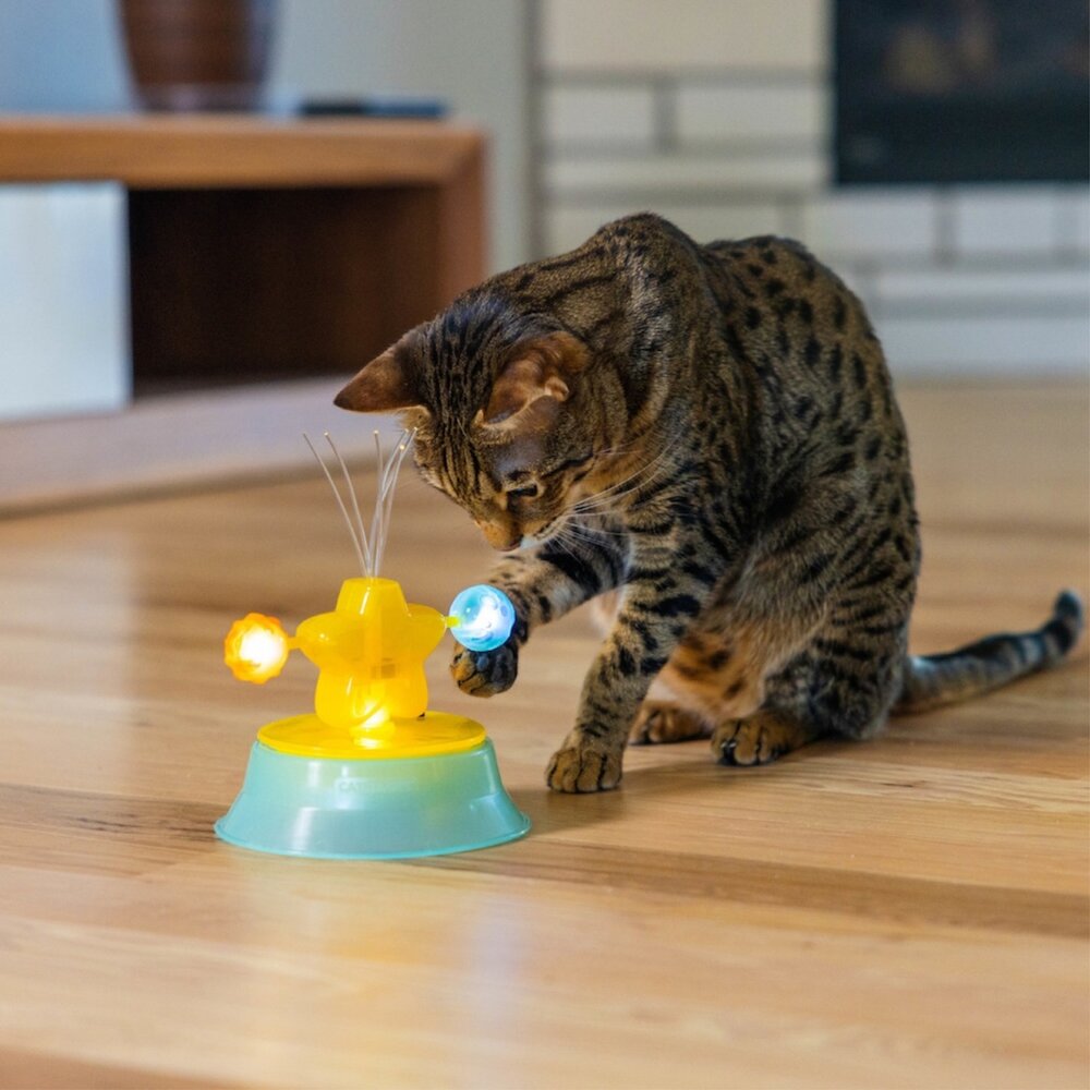 美國 Petstages 貓咪娛樂玩具 圓盤貓抓板 旋轉軌道球 旋轉餵食器 益智藏食玩具 貓抓板 貓玩具『WANG』-圖片-3