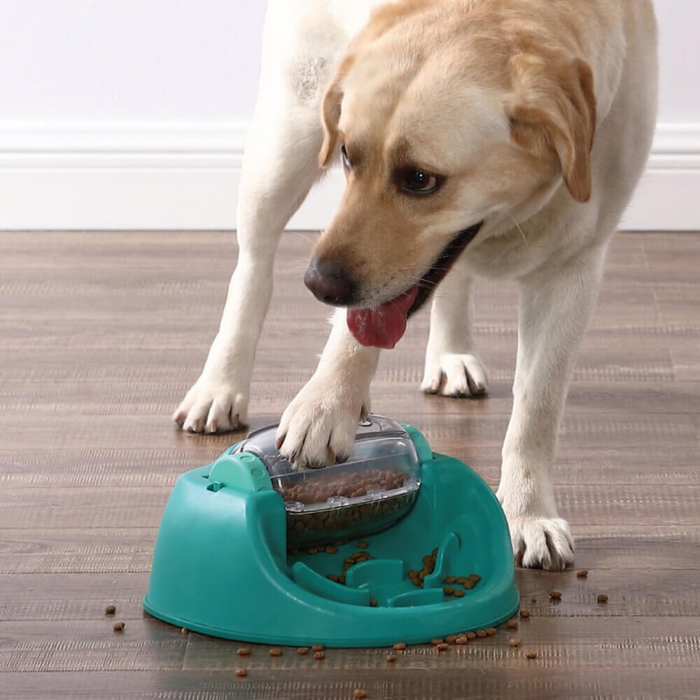 Nina Ottosson 犬益智藏食玩具 羅盤 慢食盤 拼拼樂 翻滾球 互動益智球 藏食玩具 狗玩具『WANG』-圖片-2