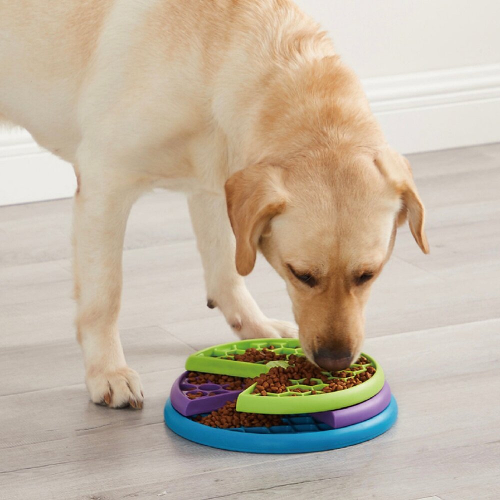 Nina Ottosson 犬益智藏食玩具 羅盤 慢食盤 拼拼樂 翻滾球 互動益智球 藏食玩具 狗玩具『WANG』-圖片-3