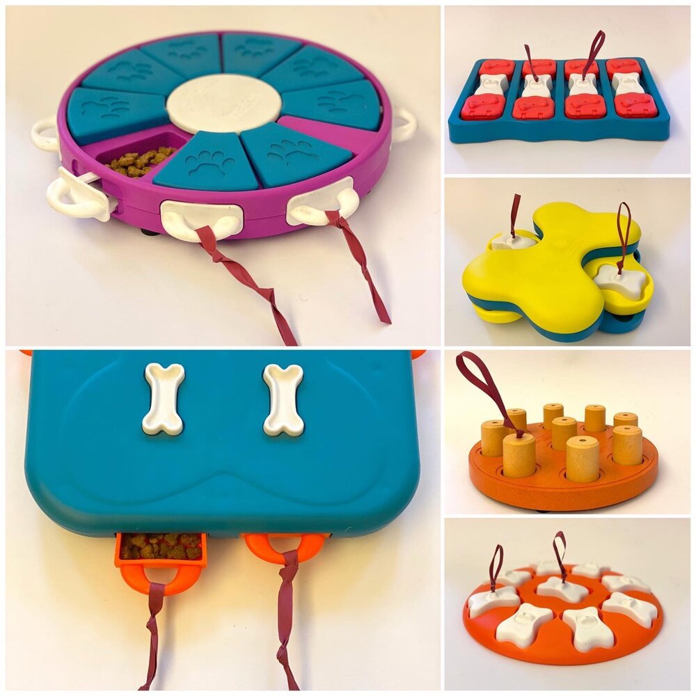 Nina Ottosson 犬益智藏食玩具 羅盤 慢食盤 拼拼樂 翻滾球 互動益智球 藏食玩具 狗玩具『WANG』-圖片-4