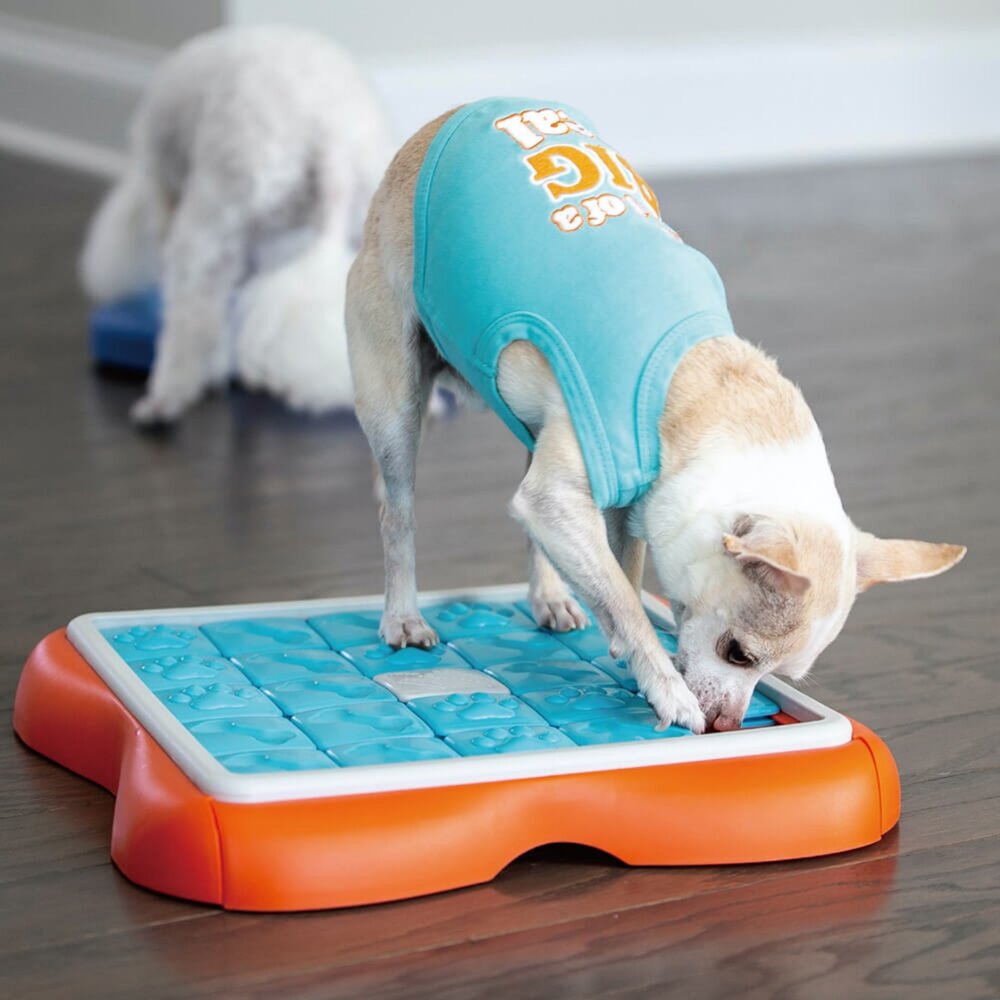 Nina Ottosson 犬益智藏食玩具 羅盤 慢食盤 拼拼樂 翻滾球 互動益智球 藏食玩具 狗玩具『WANG』-圖片-6