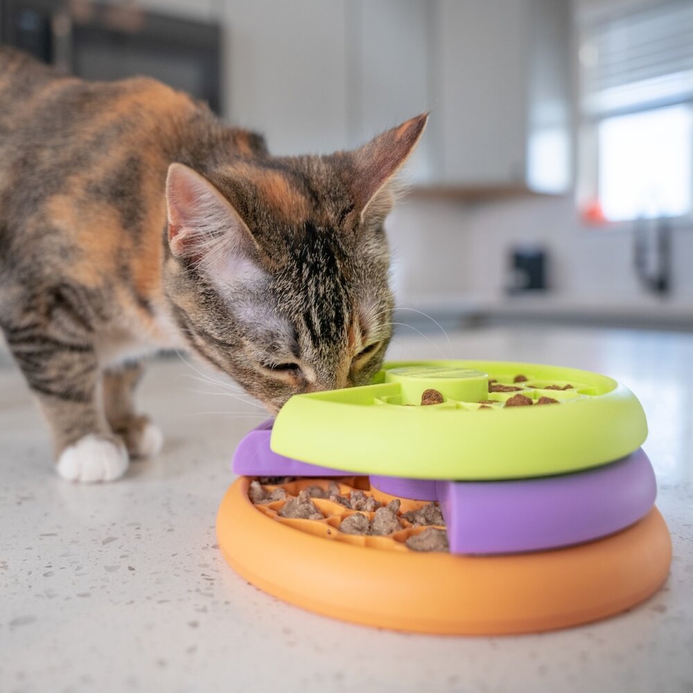 Nina Ottosson 貓益智藏食玩具 智力拼圖 慢食盤 果盤 軌道 轉盤 益智玩具 藏食玩具 貓玩具『WANG』-圖片-4