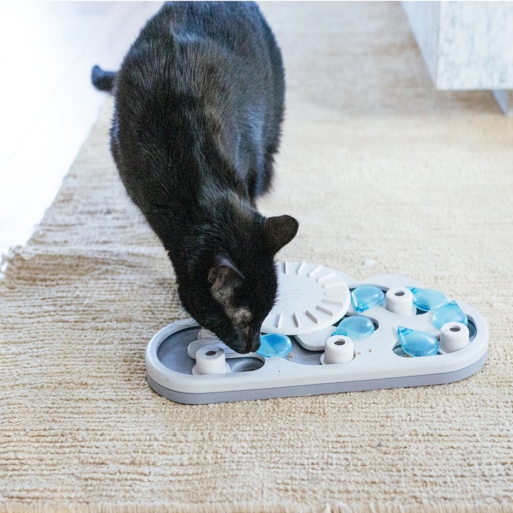 Nina Ottosson 貓益智藏食玩具 智力拼圖 慢食盤 果盤 軌道 轉盤 益智玩具 藏食玩具 貓玩具『WANG』-圖片-5