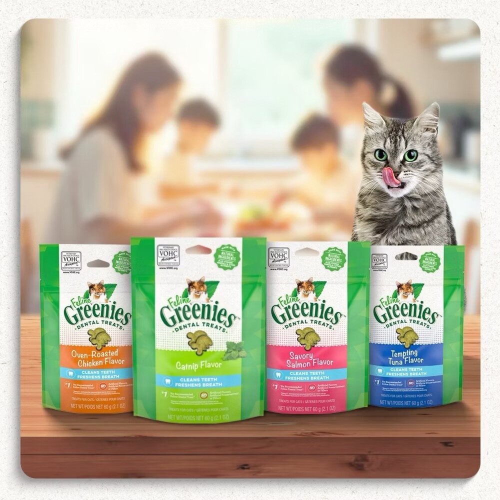 健綠 Greenies 貓咪潔牙餅 60g(2.1oz) 薄荷 鮮鮭 口腔保健零食 貓點心 貓零食 貓潔牙餅『WANG』-圖片-3