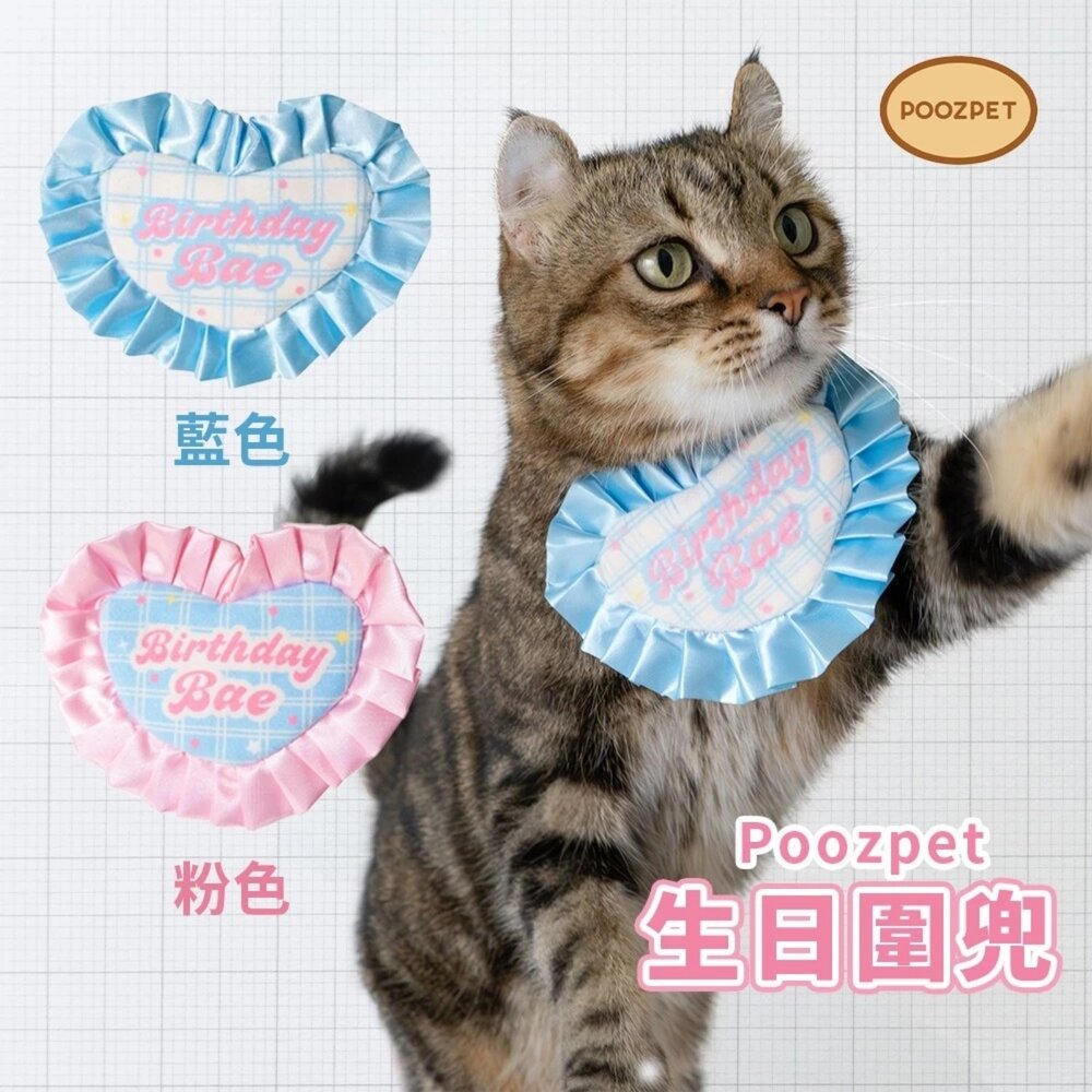 POOZPET 生日寶貝圍兜 生日帽 / 彩虹充電站 寵物玩具 寵物慶生 慶生道具 藏食玩具 寵物益智玩具『WANG』-圖片-3