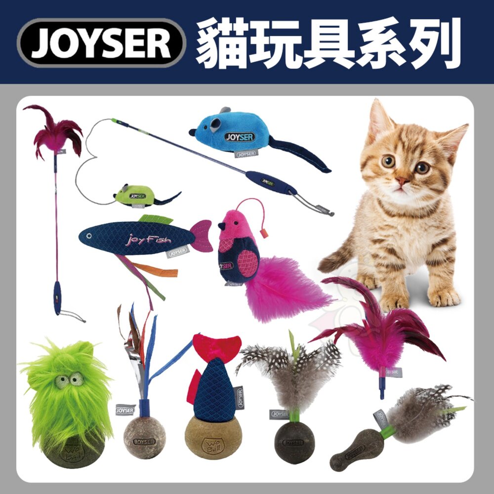 250902162102-JOYSER 貓玩具 小鳥 老鼠 發聲玩具 貓草球 逗貓棒 貓薄荷 不倒翁 葫蘆 貓咪玩具『WANG』